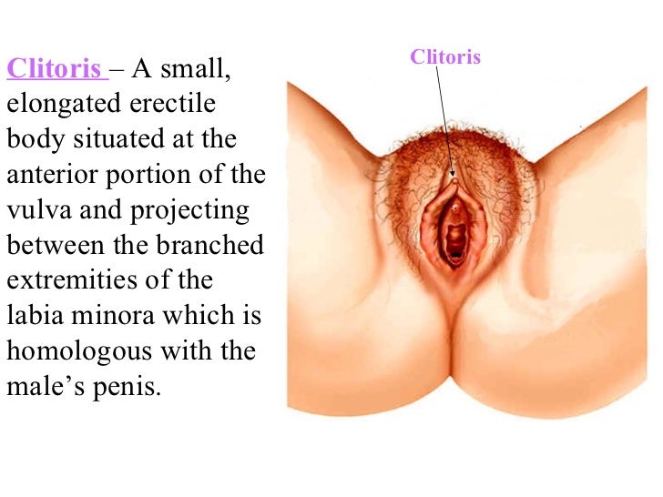 where the clitoris is located Huge nude muscular women